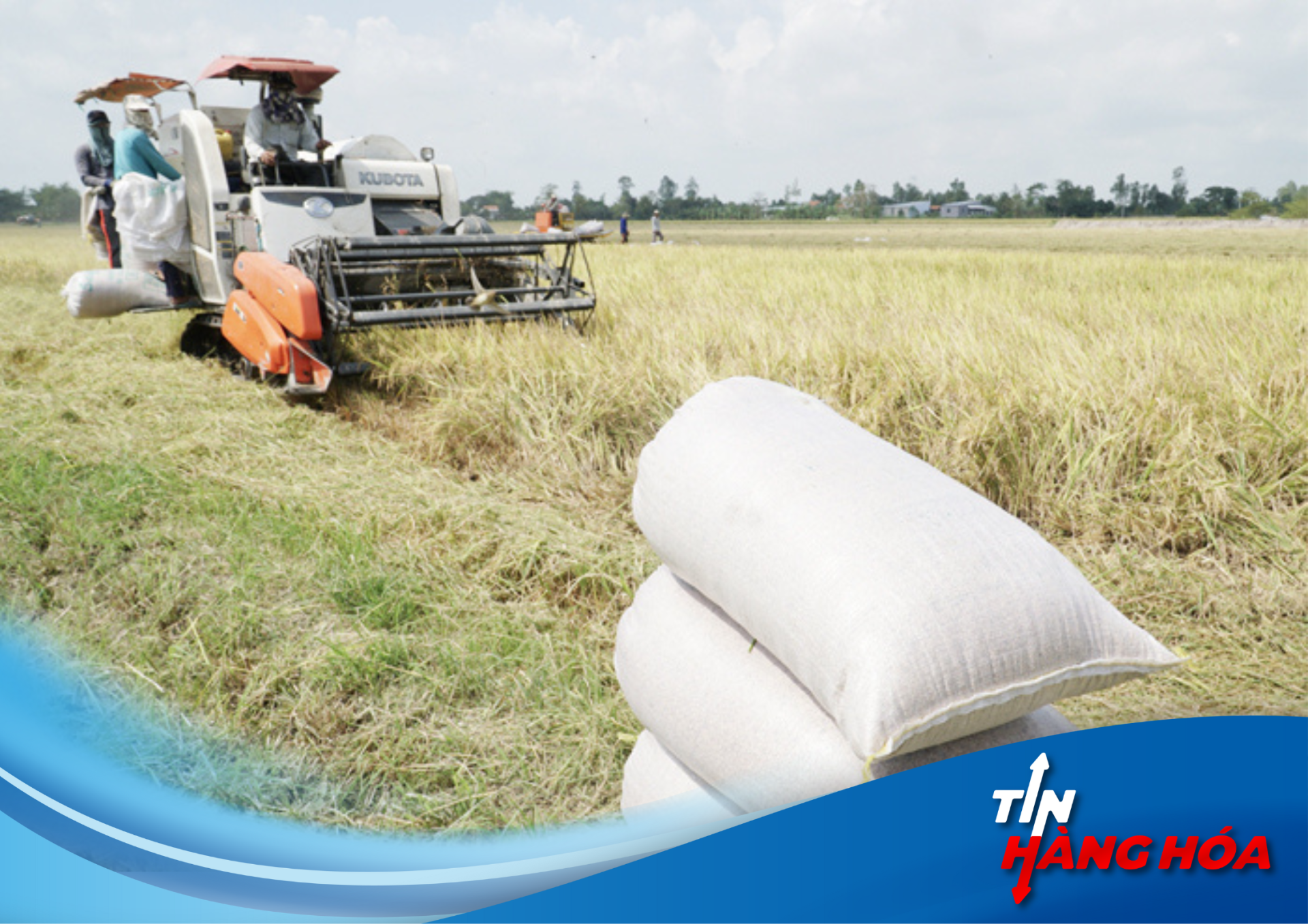 Giảm Ph&aacute;t Thải: Con Đường 'Một Chiều' Kh&ocirc;ng Thể Quay Đầu